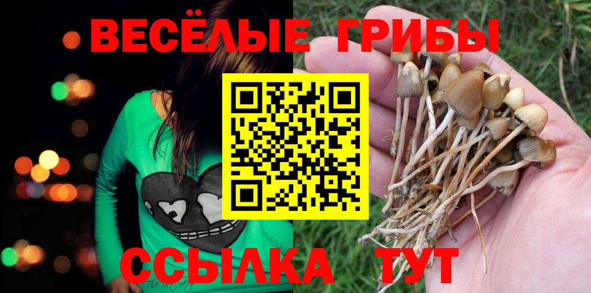 Галлюциногенные грибы ЛСД Орёл
